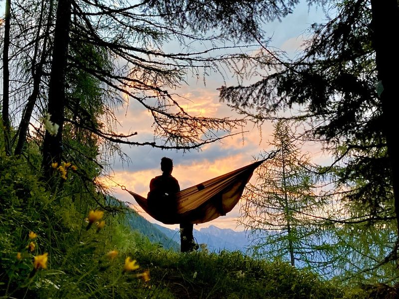 Forest Hammock