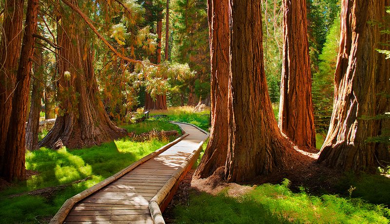 Sequoia and Kings Canyon National Parks, California