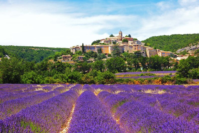 Paris and Provence Combination