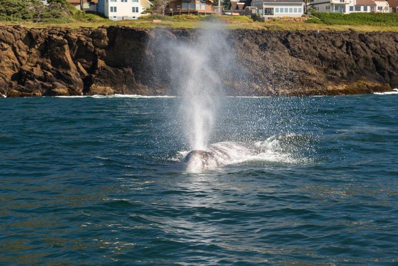 Depoe Bay