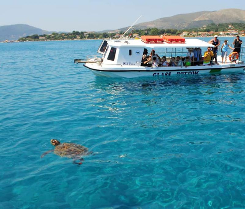 Greece's Zakynthos Island Turtle Spotting