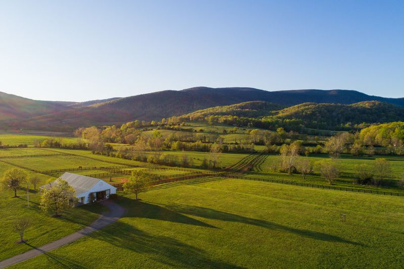 King Family Vineyards – Polo and Pinot, Anyone?