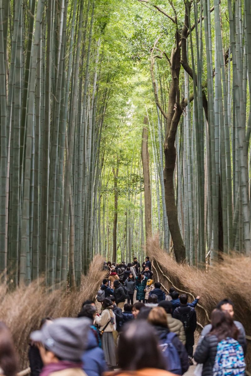 Kyoto, Japan