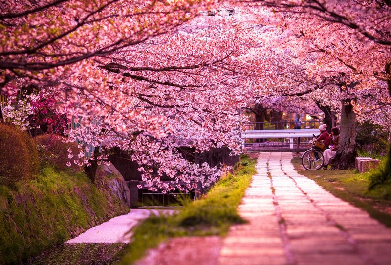 Kyoto, Japan