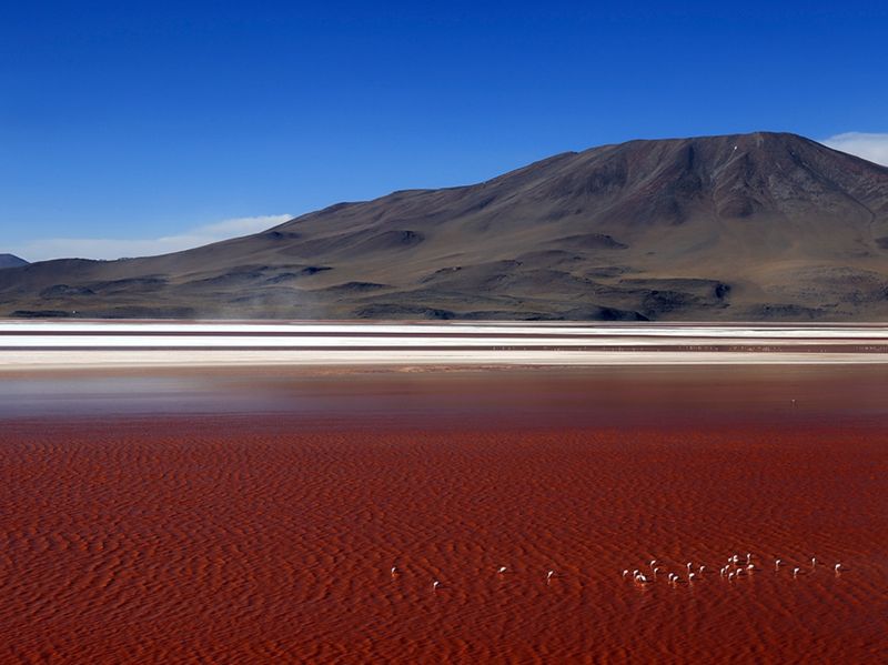 Laguna Colorada, Bolivia
