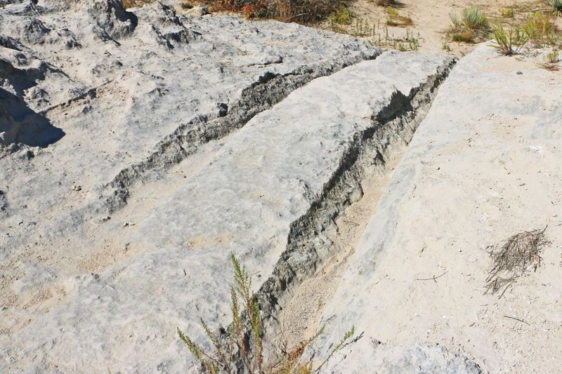 Strevell Guards Its Oregon Trail Wagon Ruts