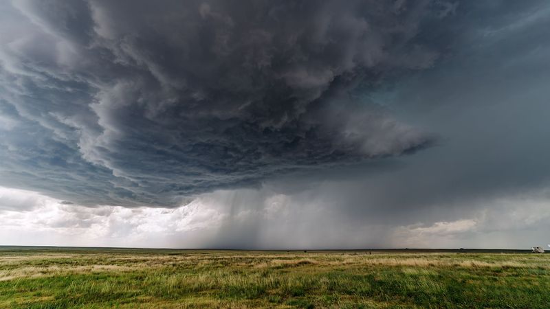 Midwest Prairies