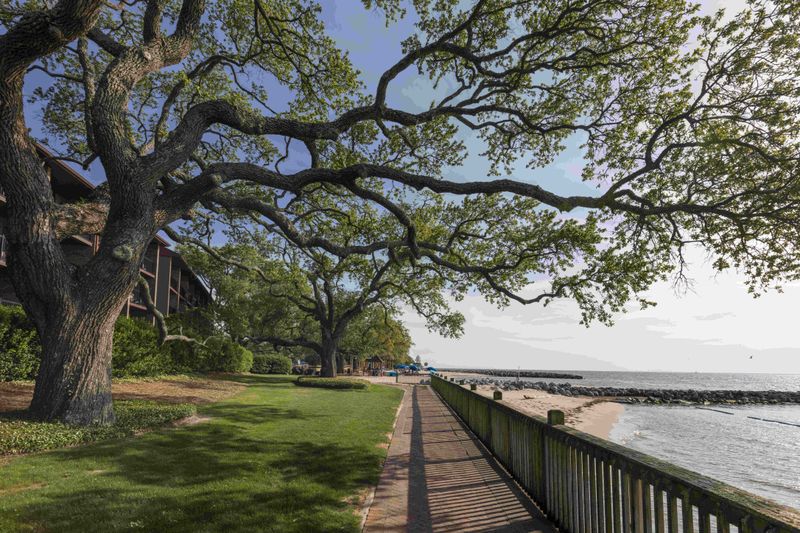 Point Clear Beach
