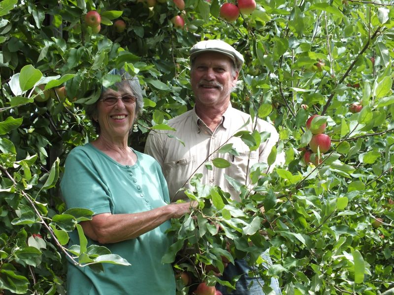 Black Diamond Farm & Cider