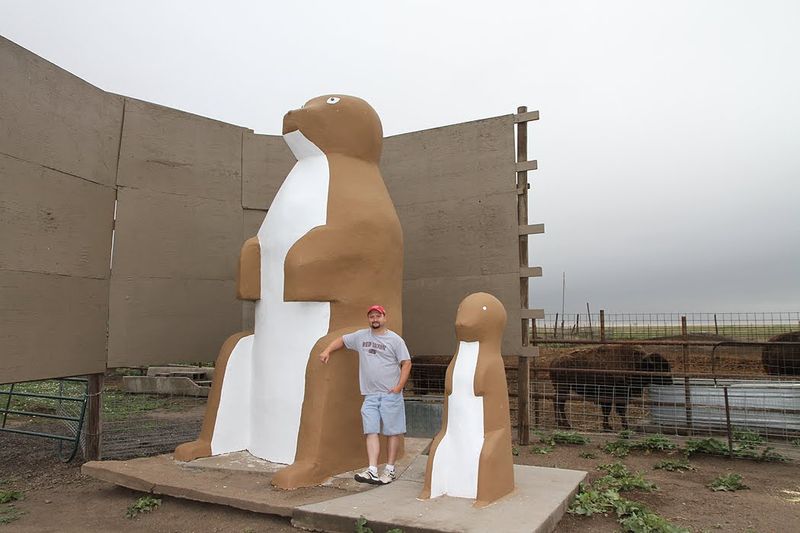 Prairie Dog Town — Oakley, Kansas