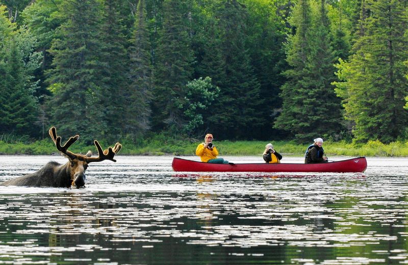 Ranger-Led Canoe Tours