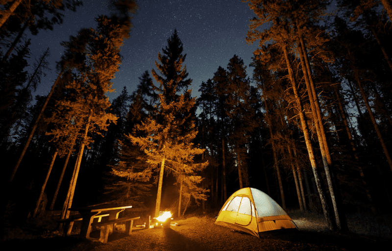 Riley Creek Campground – Alaska