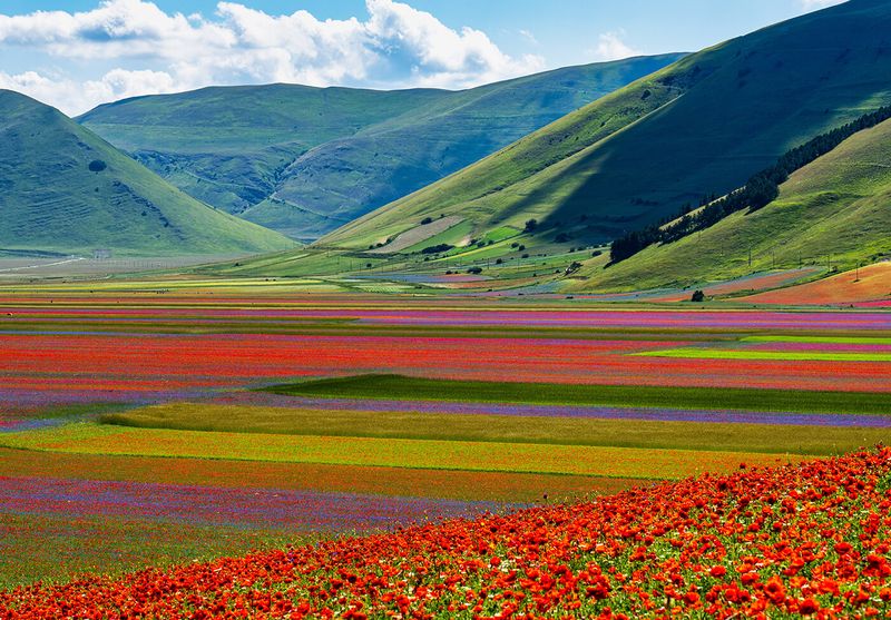 Castelluccio