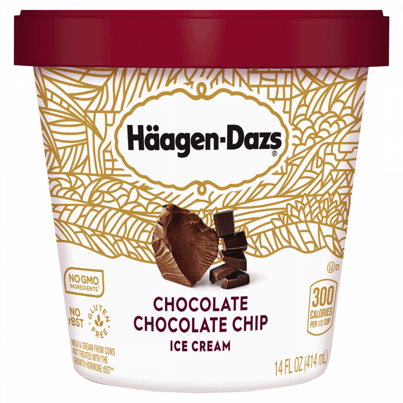 Haagen-Dazs Chocolate Chocolate Chip