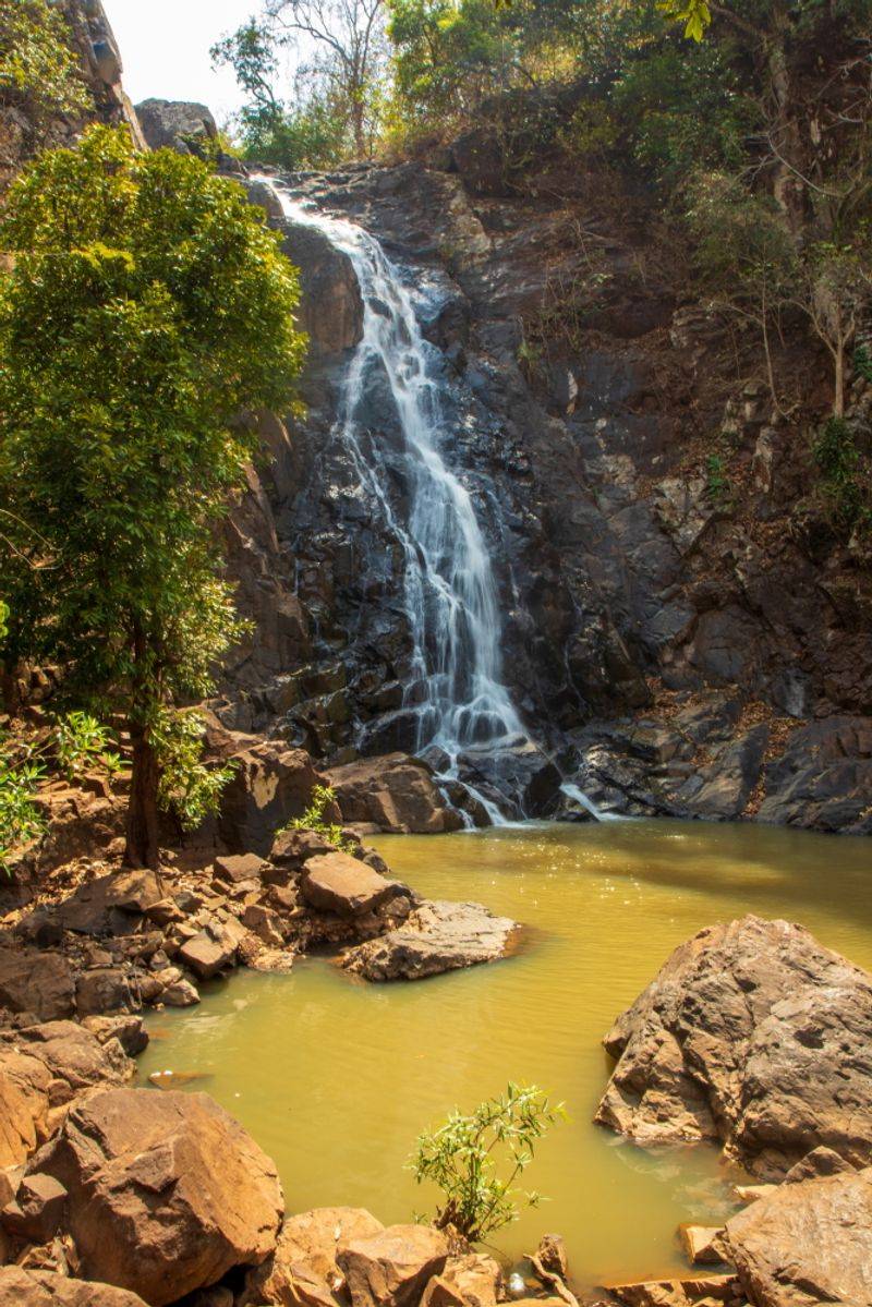 Simlipal National Park - Melanistic Tigers and Waterfalls