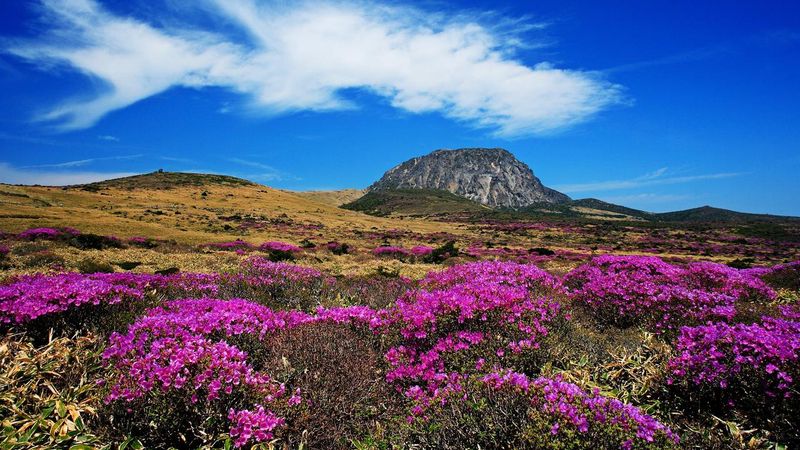 Jeju Island, South Korea - Volcanic Wonder