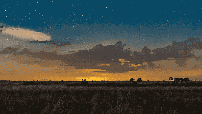 Kissimmee Prairie Preserve State Park