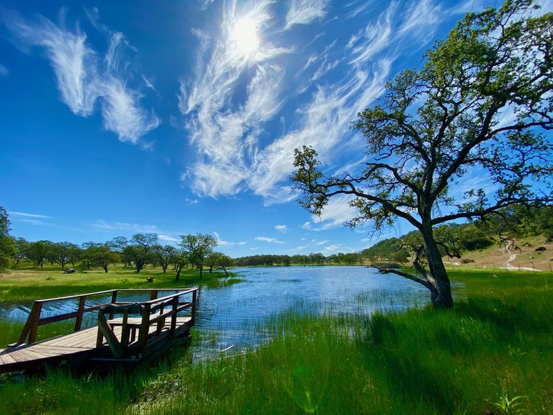 Picnic Spots with a View