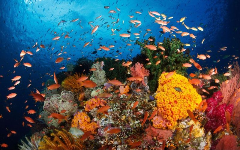 Raja Ampat, Indonesia