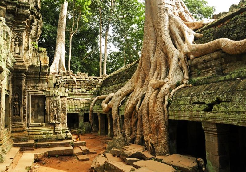 Ta Prohm, Cambodia