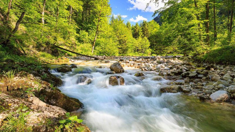Kalkalpen National Park