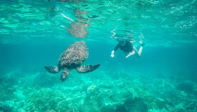 Apo Island, Philippines