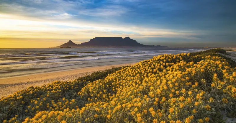 Cape Town, South Africa 🇿🇦