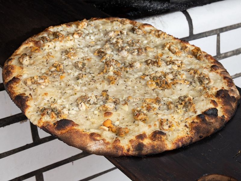 New Haven: Pizza Perfection