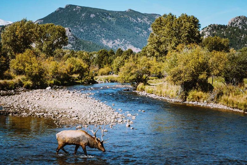 Estes Park