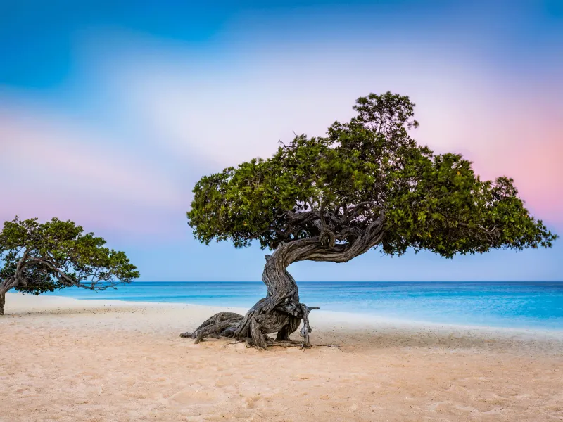 Eagle Beach, Aruba