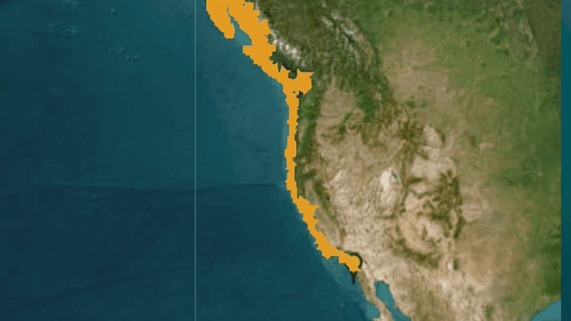 Wave Forecasts for California Remained Modest—but Multiple Surges Possible