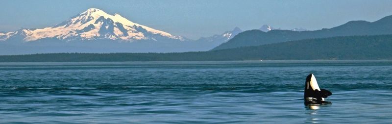 Washington's San Juan Islands