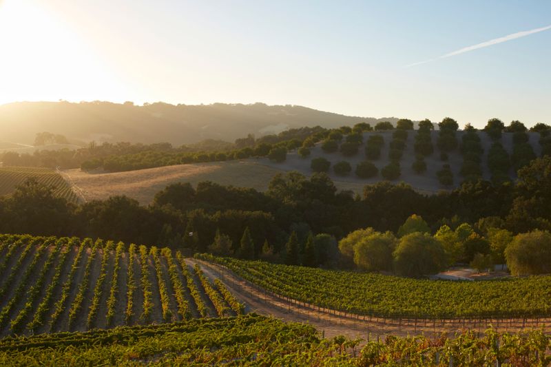 Paso Robles