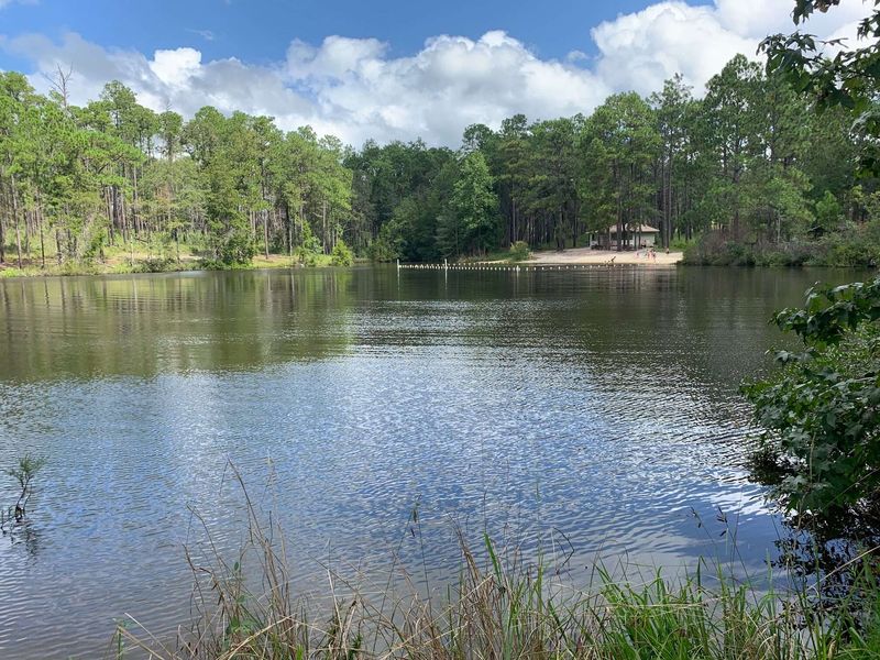 Swimming and Fishing in Crystal Waters