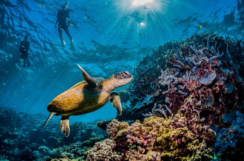 Australia