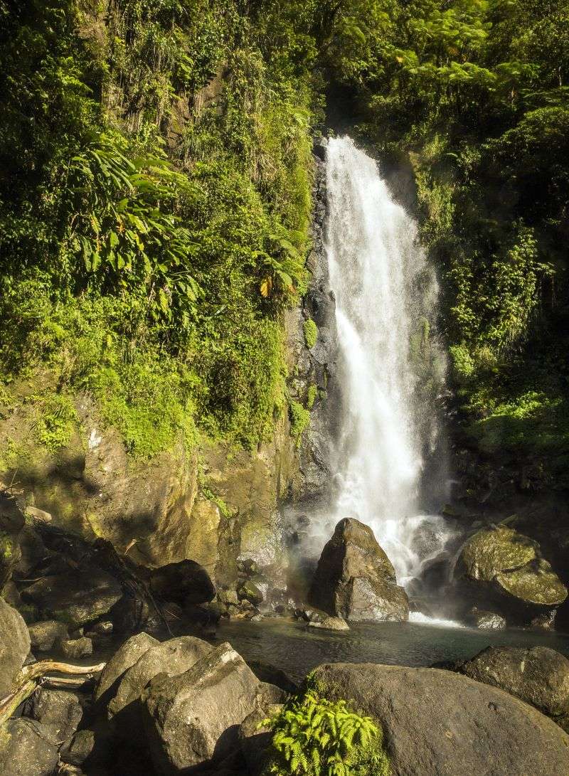 Dominica: 180 Days in the Nature Island