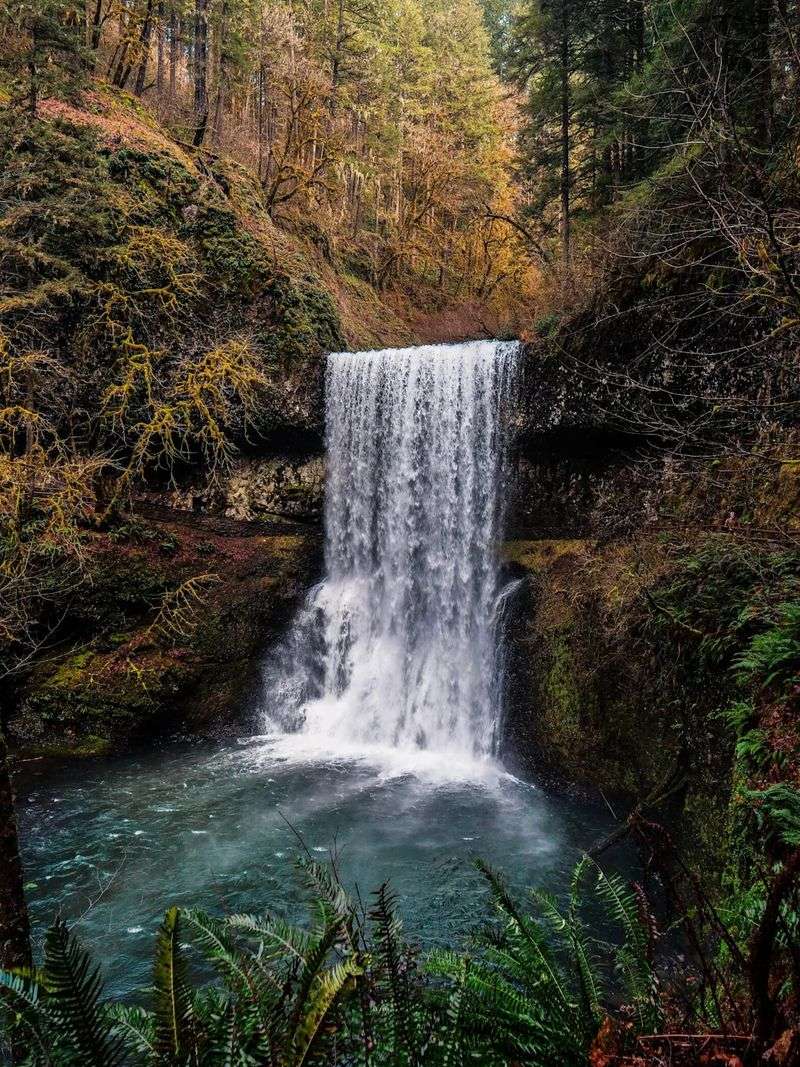Silver Falls State Park's Ethereal Forests in 'Twilight'