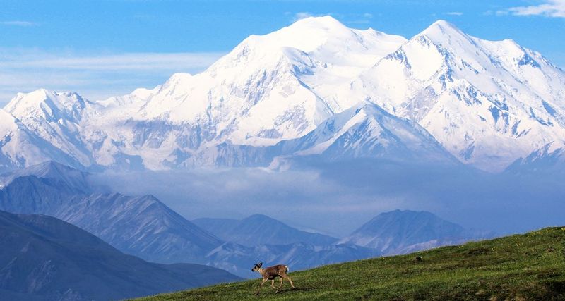 Denali National Park, Alaska