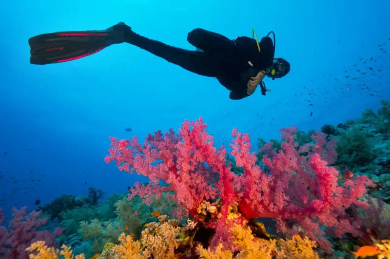 Great Barrier Reef, Australia