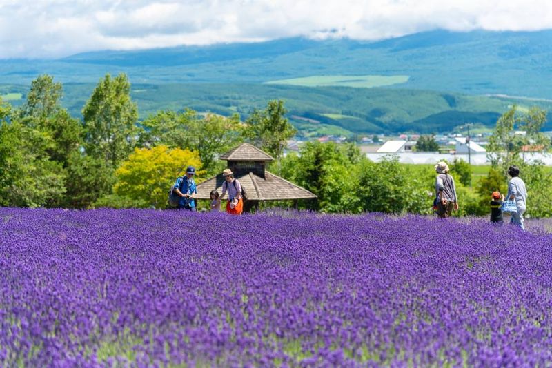 Hokkaido, Japan