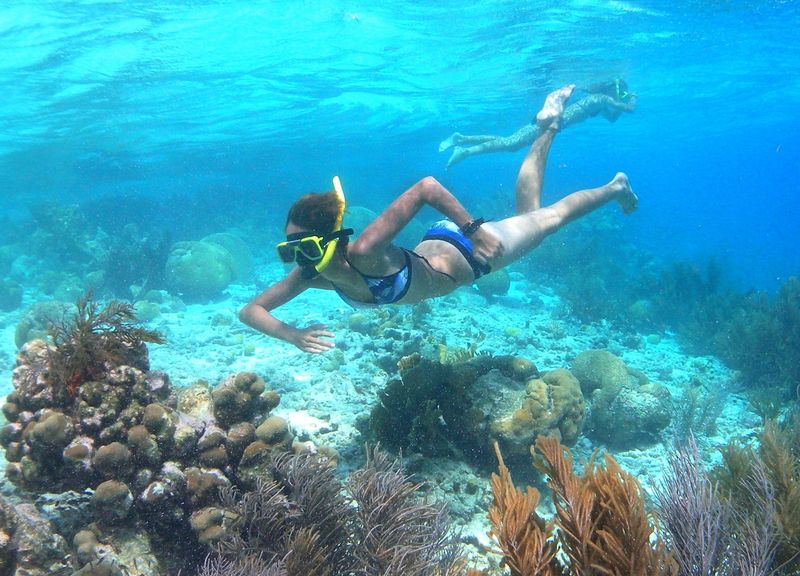Snorkeling in Bonaire's Marine Park