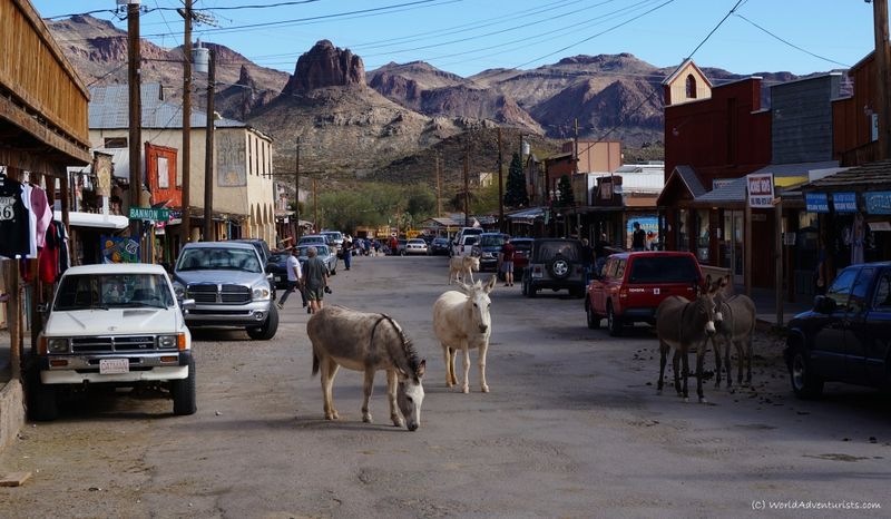 Oatman, Arizona