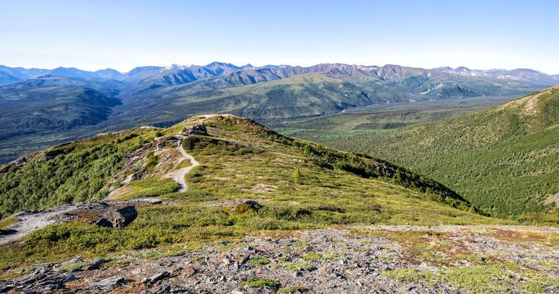 Mount Healy Overlook Trail, Denali National Park
