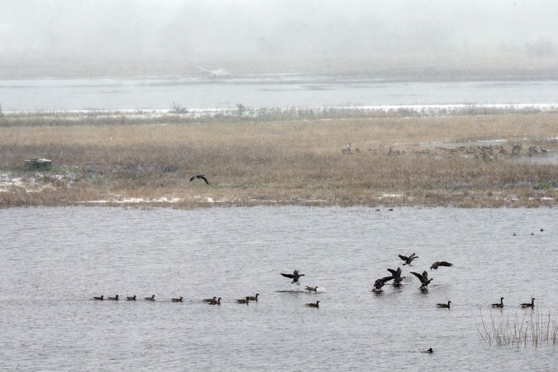 Goose Lake State Recreation Area