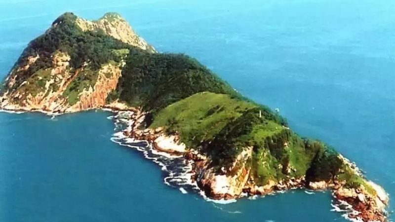 Snake Island, Brazil (Ilha da Queimada Grande)