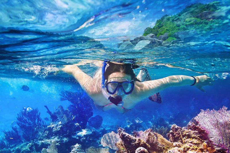 Catalina Island Snorkeling Adventure