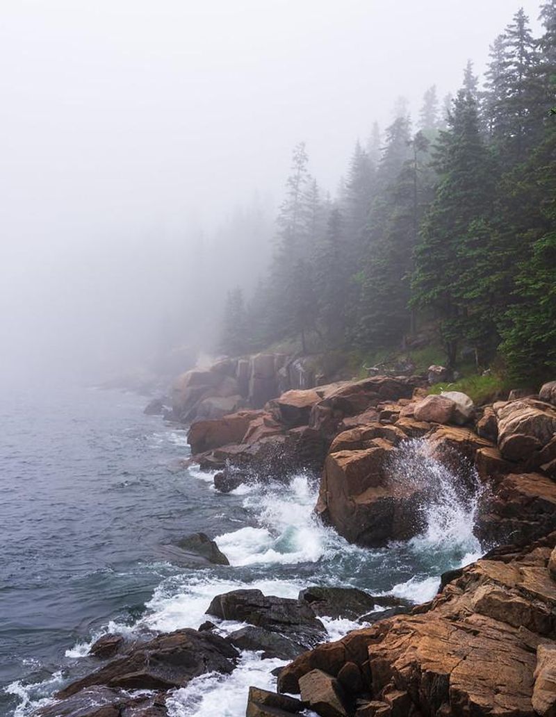 Foggy Coast of Maine, USA