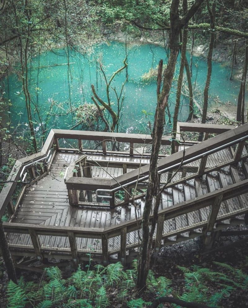 Devil's Millhopper Geological State Park