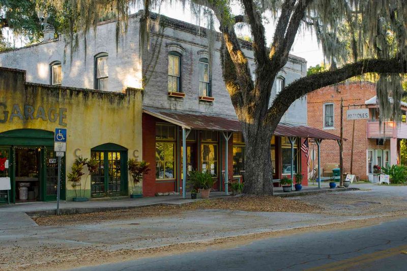 Micanopy's Time-Worn Charm