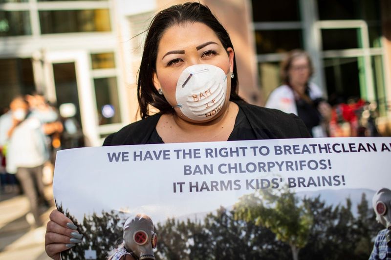 Chlorpyrifos Residue